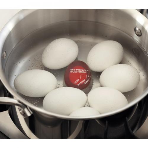 Color Changing Egg Timer - Cook The Perfect Egg!