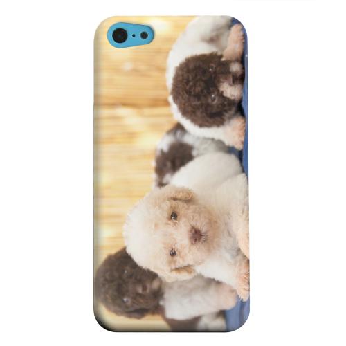 Geeks Designer Line (GDL) Apple iPhone 5C Matte Hard Back Cover - Three Buddies Geeks Designer Line (GDL) Apple iPhone 5C Matte Hard Back Cover - Three Buddies
