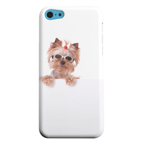 Geeks Designer Line (GDL) Apple iPhone 5C Matte Hard Back Cover - Yorkshire Terrier Geeks Designer Line (GDL) Apple iPhone 5C Matte Hard Back Cover - Yorkshire Terrier