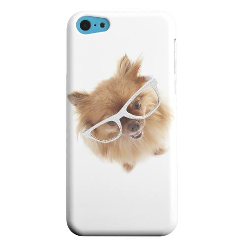 Geeks Designer Line (GDL) Apple iPhone 5C Matte Hard Back Cover - Pomeranian Geeks Designer Line (GDL) Apple iPhone 5C Matte Hard Back Cover - Pomeranian
