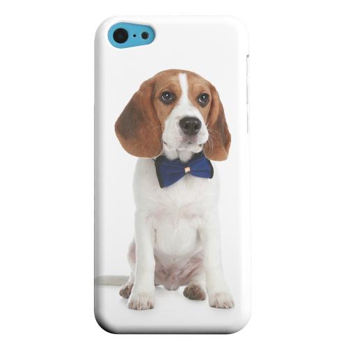 Geeks Designer Line (GDL) Apple iPhone 5C Matte Hard Back Cover - Beagle with Bow Tie Geeks Designer Line (GDL) Apple iPhone 5C Matte Hard Back Cover - Beagle with Bow Tie