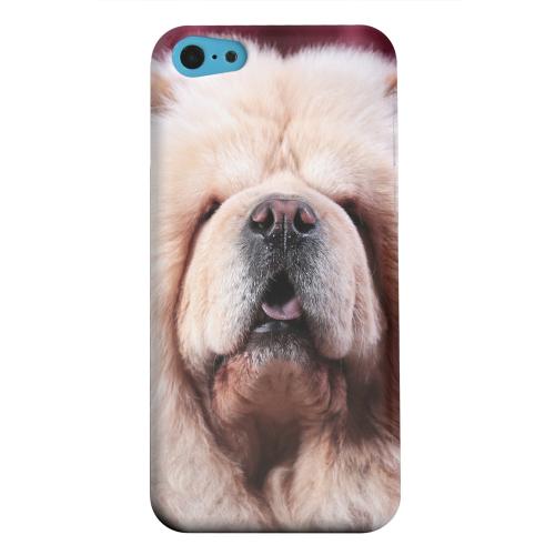 Geeks Designer Line (GDL) Apple iPhone 5C Matte Hard Back Cover - Chow Chow