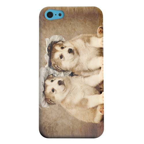 Geeks Designer Line (GDL) Apple iPhone 5C Matte Hard Back Cover - Alaskan Malamute Geeks Designer Line (GDL) Apple iPhone 5C Matte Hard Back Cover - Alaskan Malamute