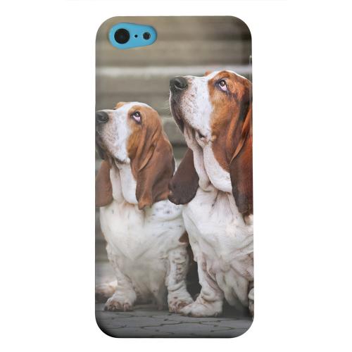 Geeks Designer Line (GDL) Apple iPhone 5C Matte Hard Back Cover - Bassett Hounds Geeks Designer Line (GDL) Apple iPhone 5C Matte Hard Back Cover - Bassett Hounds