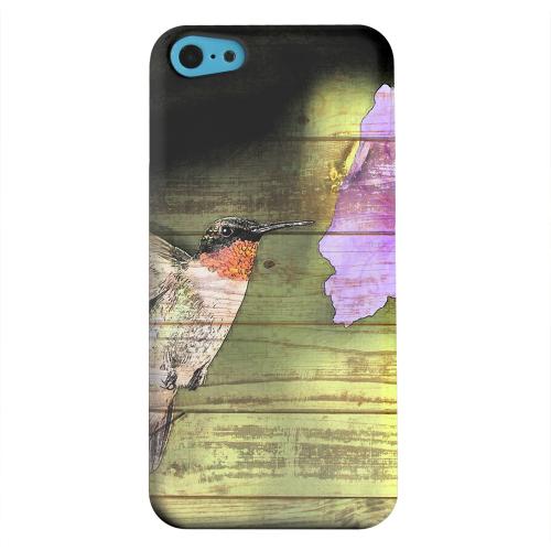 Geeks Designer Line (GDL) Apple iPhone 5C Matte Hard Back Cover - Hummingbird Geeks Designer Line (GDL) Apple iPhone 5C Matte Hard Back Cover - Hummingbird