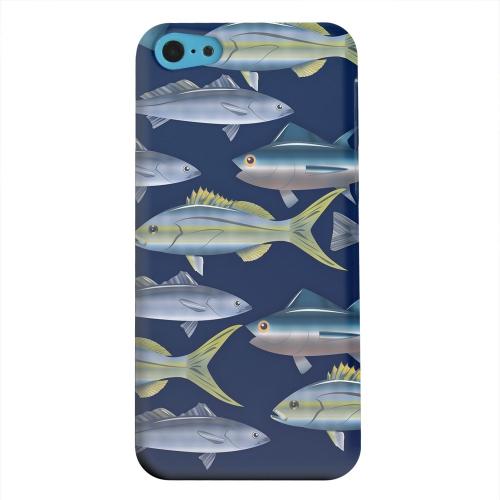 Geeks Designer Line (GDL) Apple iPhone 5C Matte Hard Back Cover - Assorted Fish in the Sea