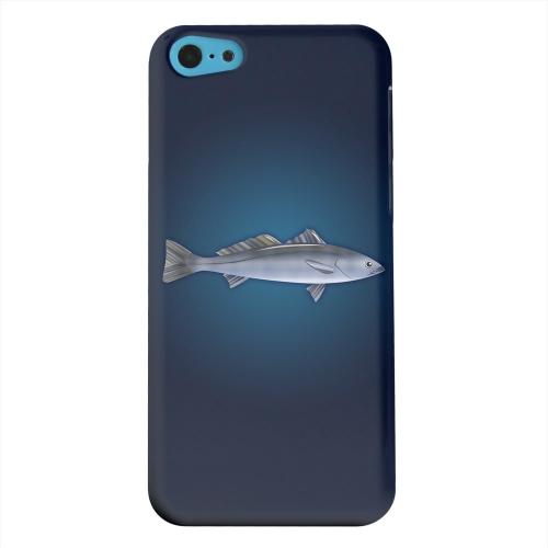 Geeks Designer Line (GDL) Apple iPhone 5C Matte Hard Back Cover - White Sea Bass Geeks Designer Line (GDL) Apple iPhone 5C Matte Hard Back Cover - White Sea Bass