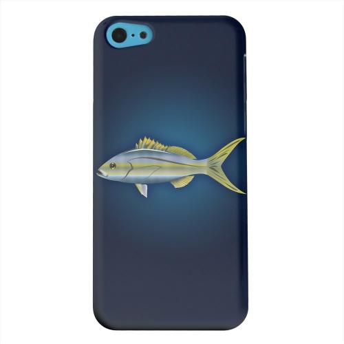 Geeks Designer Line (GDL) Apple iPhone 5C Matte Hard Back Cover - Yellowtail Geeks Designer Line (GDL) Apple iPhone 5C Matte Hard Back Cover - Yellowtail
