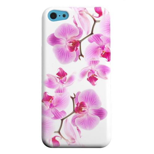 Geeks Designer Line (GDL) Apple iPhone 5C Matte Hard Back Cover - Orchids Orchids Geeks Designer Line (GDL) Apple iPhone 5C Matte Hard Back Cover - Orchids Orchids