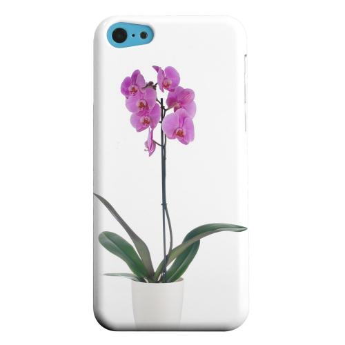 Geeks Designer Line (GDL) Apple iPhone 5C Matte Hard Back Cover - Hot Pink Orchid Plant Geeks Designer Line (GDL) Apple iPhone 5C Matte Hard Back Cover - Hot Pink Orchid Plant