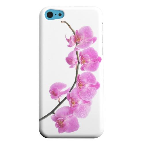 Geeks Designer Line (GDL) Apple iPhone 5C Matte Hard Back Cover - Hot Pink Orchid Curved Branch Geeks Designer Line (GDL) Apple iPhone 5C Matte Hard Back Cover - Hot Pink Orchid Curved Branch