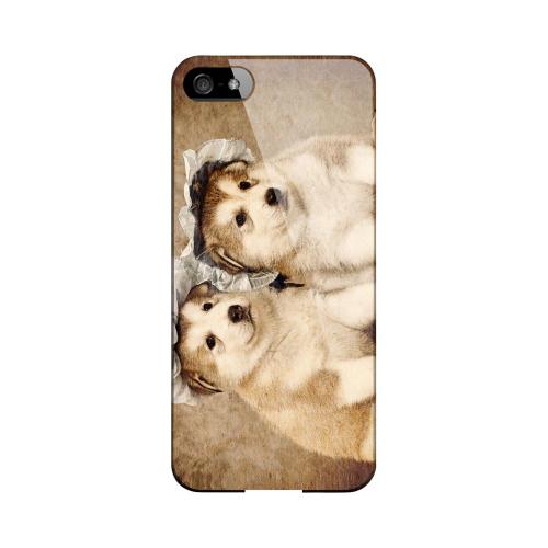 Alaskan Malamute Impact Resistant Geeks Designer Line Slim Hard Case for Apple iPhone 5/5S