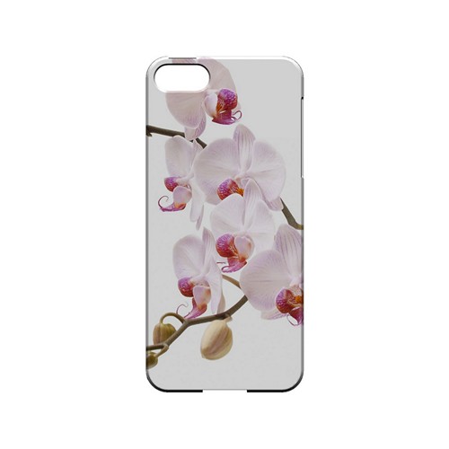 White Pink Orchid - Geeks Designer Line Floral Series Hard Case for Apple iPhone 5/5S