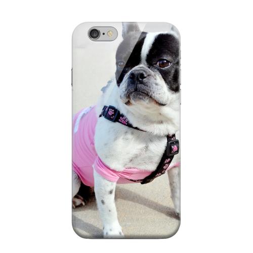 Geeks Designer Line (GDL) Apple iPhone 6 Matte Hard Back Cover - English Bulldog Mix Geeks Designer Line (GDL) Apple iPhone 6 Matte Hard Back Cover - English Bulldog Mix