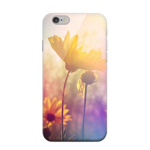 Geeks Designer Line (GDL) Apple iPhone 6 Matte Hard Back Cover - Colorful Daisy Bloom Geeks Designer Line (GDL) Apple iPhone 6 Matte Hard Back Cover - Colorful Daisy Bloom