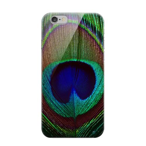 Geeks Designer Line (GDL) Apple iPhone 6 Matte Hard Back Cover - Colorful Peacock Feather Geeks Designer Line (GDL) Apple iPhone 6 Matte Hard Back Cover - Colorful Peacock Feather