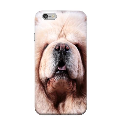 Geeks Designer Line (GDL) Apple iPhone 6 Matte Hard Back Cover - Chow Chow