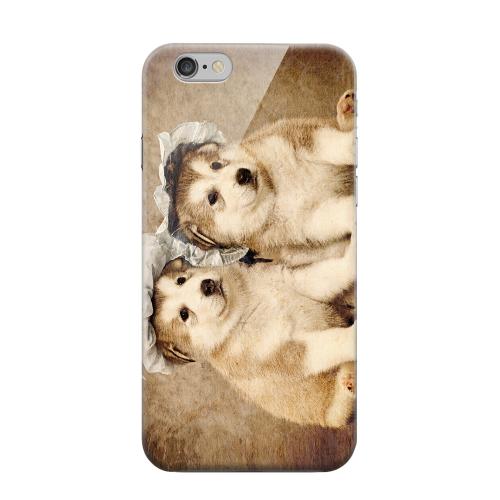 Geeks Designer Line (GDL) Apple iPhone 6 Matte Hard Back Cover - Alaskan Malamute Geeks Designer Line (GDL) Apple iPhone 6 Matte Hard Back Cover - Alaskan Malamute