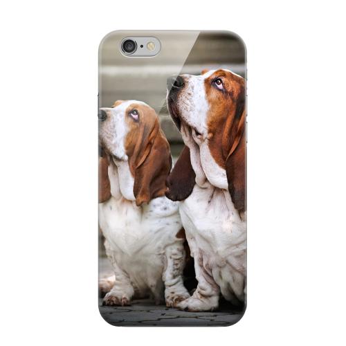 Geeks Designer Line (GDL) Apple iPhone 6 Matte Hard Back Cover - Bassett Hounds