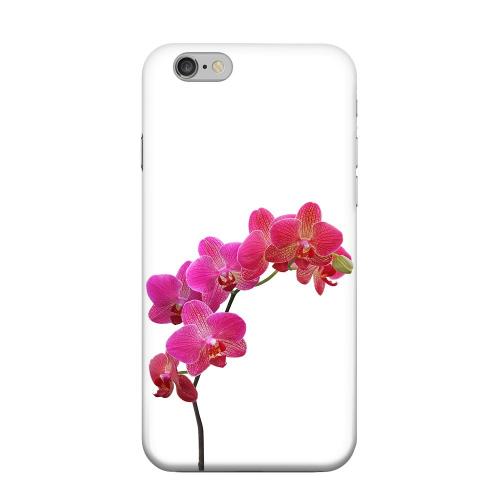 Geeks Designer Line (GDL) Apple iPhone 6 Matte Hard Back Cover - Hot Pink Orchid Branch Geeks Designer Line (GDL) Apple iPhone 6 Matte Hard Back Cover - Hot Pink Orchid Branch