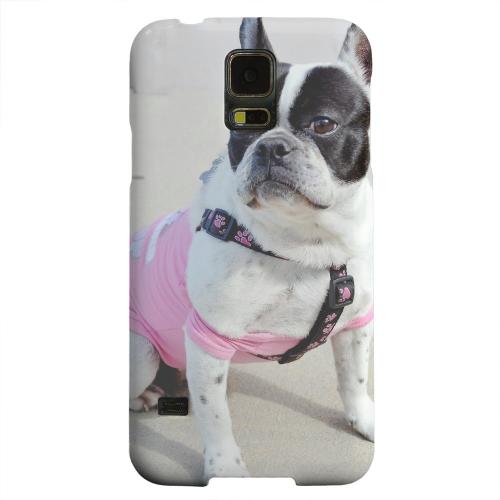 Geeks Designer Line (GDL) Samsung Galaxy S5 Matte Hard Back Cover - English Bulldog Mix