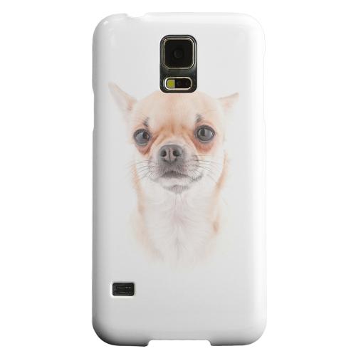 Geeks Designer Line (GDL) Samsung Galaxy S5 Matte Hard Back Cover - Chihuahua Geeks Designer Line (GDL) Samsung Galaxy S5 Matte Hard Back Cover - Chihuahua