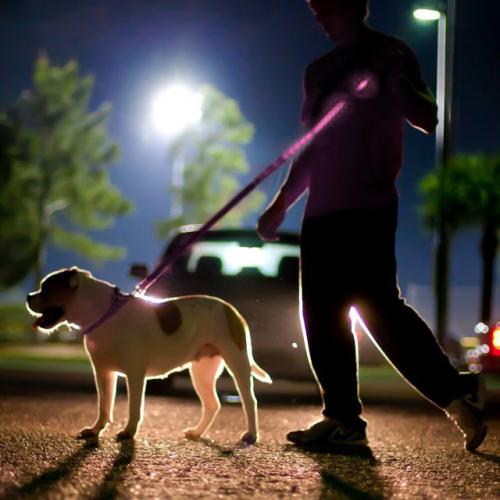 Pink Nylon Universal Double Sided LED 58" Light up Leash - Provides Great Safety!